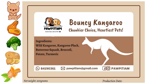 Bouncy Kangaroo